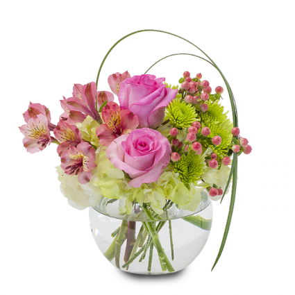 Joy Arrangement