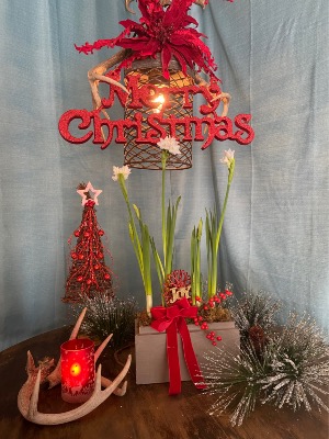 Joy Christmas Lantern Sign