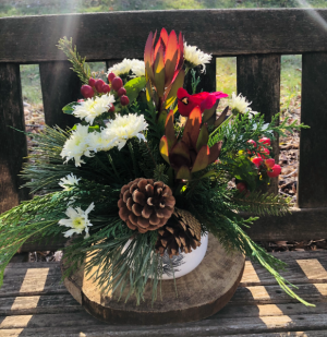 Joy of the Holiday  Pine Cone Vase Arrangement 