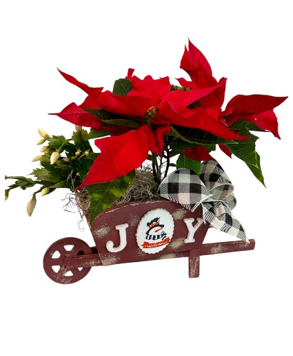 Joy Wheelbarrow Plant Garden Plant Garden 