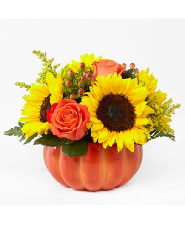 Joyful Harvest Pumkin Centerpeice in Woodinville, WA | Woodinville Florist®