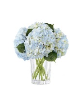 Joyful Inspirations Arrangement