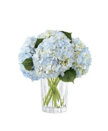 Joyful Inspirations Arrangement