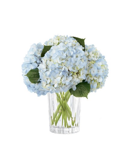 Joyful Inspirations Arrangement