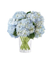  Joyful Inspirations Bouquet 