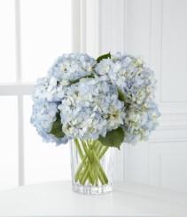 Cool Blue Blue Hydrangea in a Crystal Clear Vase