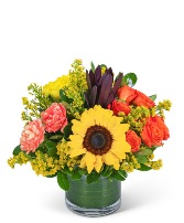 Joyful Sunbeam Flower Arrangement in Nevada, Iowa | Flower Bed