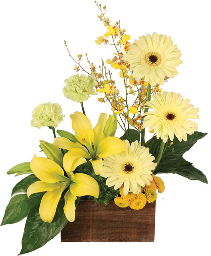 Joyous Sunlight Floral Design