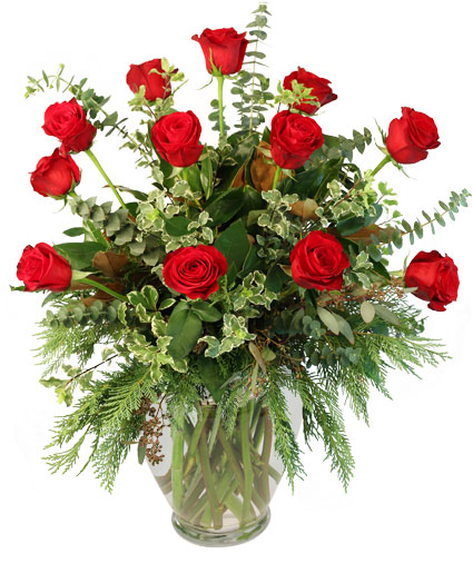 red roses for christmas