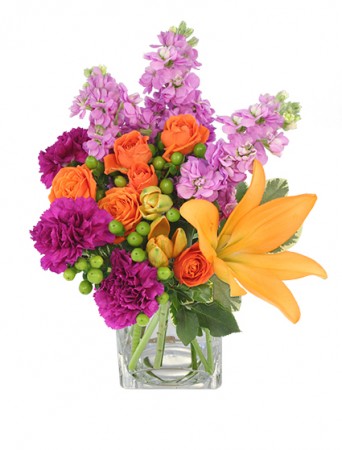 Jubilation! Bouquet in Springfield, VT | WOODBURY FLORIST
