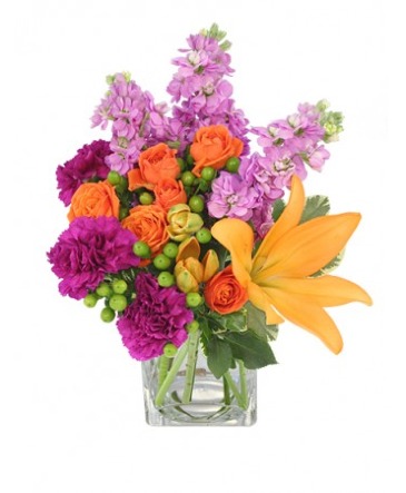 Jubilation Fresh flowers Colorful  in Trumann, AR | Blossom Events & Florist