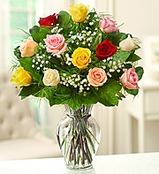 Dozen Mixed Rose ARRANGED Colors will vary. FILLER IS BABY'S BREATH OR WAX FLOWER