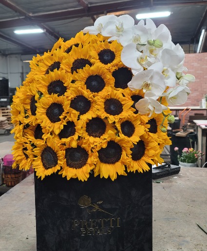 jumbo sunflower box 