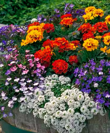 JUNE 2, 2025 @ 6:30PM Garden Pot Workshop in Troy, NY | PAWLING FLOWERS & GIFTS JUNE 2, 2025 @ 6:30PM Garden Pot Workshop in Troy, NY | PAWLING FLOWERS & GIFTS