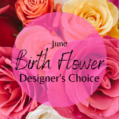 June Birth Flower Designer's Choice Designer's Choice