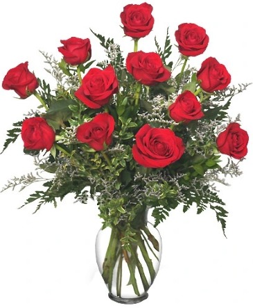 One Dozen Premium Red Roses One Dozen Red Roses in Spokane, WA | FOUR SEASONS PLANT & FLOWER SHOP