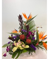 Jungle Lux By Enchanted Florist of Cape Coral 