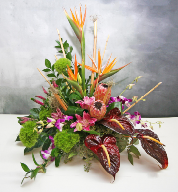 Flowers To Go Modern Tropical Designs West Palm Beach Florist