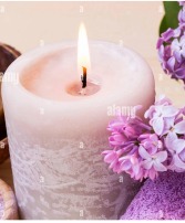 French Lilac Scented Candle 100+ hour clean burning, fragrant candle