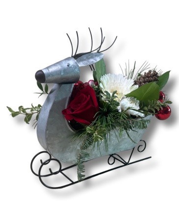Juniper Comet Chrismas in Hugoton, KS | Lynnie's Floral Juniper Comet Chrismas in Hugoton, KS | Lynnie's Floral