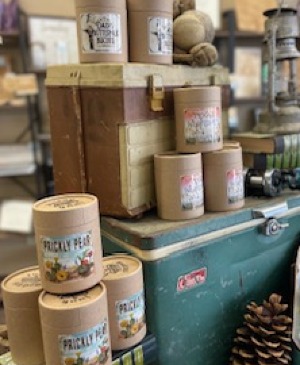 Junk Gypsies 'Prickly Pear' Candle  