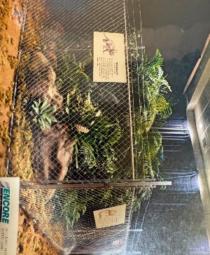 Jurassic Park Themed Rental Plant Rentals