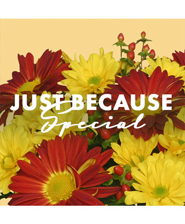 Just Because Special Designer's Choice in Burton, MI | FENNER'S FLORAL & DESIGN COMPANY Just Because Special Designer's Choice in Burton, MI | FENNER'S FLORAL & DESIGN COMPANY