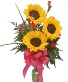Purchase this funeral home arrangement