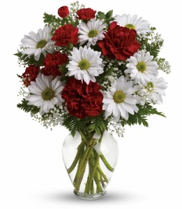 JUST BECAUSE Vase of Daisies and Carns