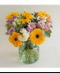 Just For You 