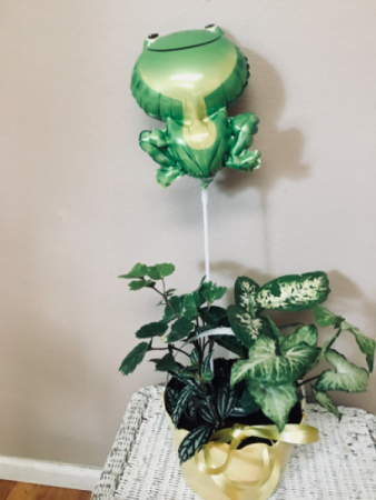 FROG PRINCE Planter garden