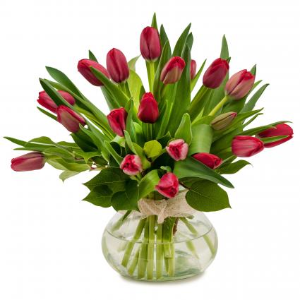 Just Red Tulips Arrangement