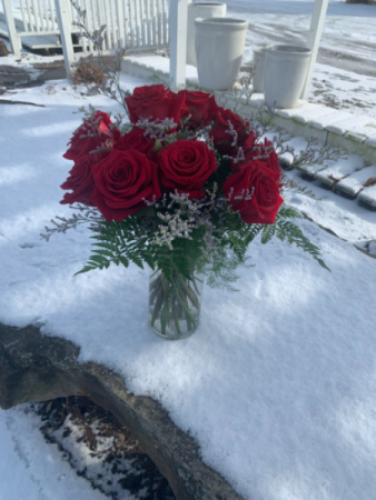 “Just Simple And Romantic“ 12 roses - several colors available in Syracuse, IN | Dynamic Floral