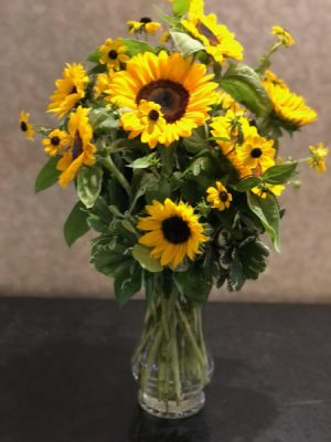 Just Sunflowers 