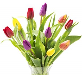 Just Tulips Vase Arrangement
