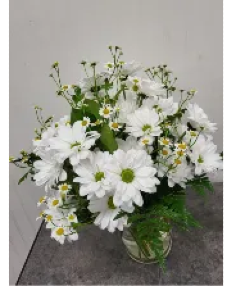 Category Image