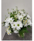 K 2420 Fresh as a Daisy Daisy Arraqngement