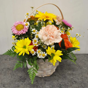 K128 Springy Basket  