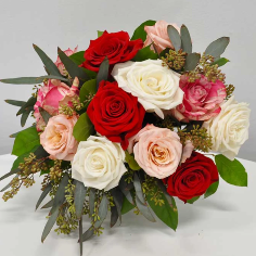 Category Image