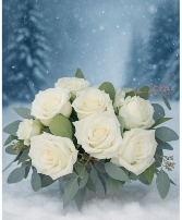 K2404 White Rose Parisian  Whitre Roses 