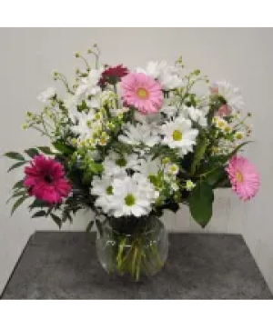 K2420 Fesh as a daisy Daisy Arrangement 