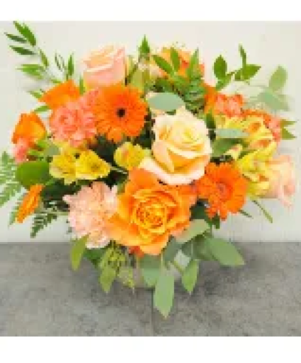 K2421 Mango Smoothie Low Arrangement