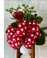 KALANCHOE Blooming Plant in Weatherford, Oklahoma | The Flower Box Florist