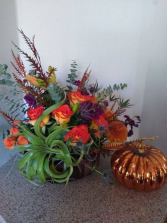 Keep sake air plants are back! add on large air plants to any arrangement