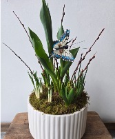 Keep Your Love Blooming Spring Bulb Arrangement