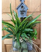Keepsake Birdhouse T&V Original