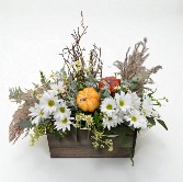 Kelly's Window Box SCF Original - Designed By Kelly