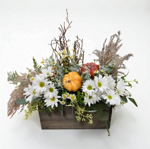 Outside Kelly's Window SCF Original - Designed By Kelly