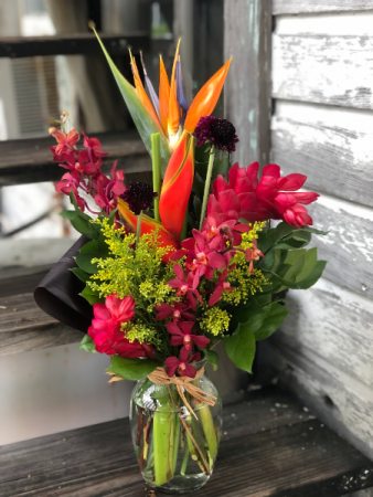 Key West Tropical Tropical Arrangement in Vase in Key West, FL | Petals & Vines