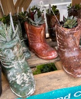 Kickin It! Succulents in ceramic boot 